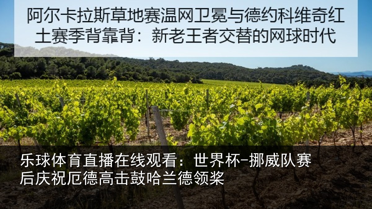乐球体育直播在线观看：世界杯-挪威队赛后庆祝相关情况领桨
