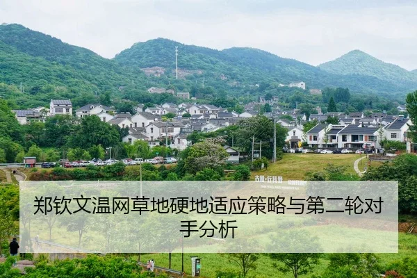 zheng-qin-wen-wen-wang-cao-di-ying-di-shi-ying-ce-lve-yu-di-er-lun-dui-shou-fen-xi-2-685.jpg