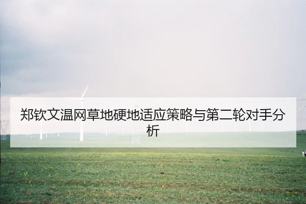zheng-qin-wen-wen-wang-cao-di-ying-di-shi-ying-ce-lve-yu-di-er-lun-dui-shou-fen-xi-3-115.jpg