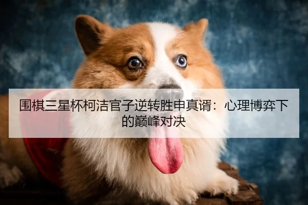 围棋三星杯柯洁官子逆转胜申真谞：心理博弈下的巅峰对决