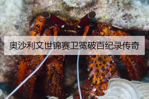 奥沙利文世锦赛卫冕破百纪录传奇